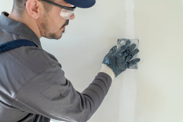 Best Mold Odor Removal Services  in Blackfoot, ID