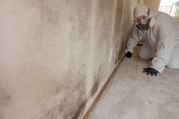 Best Indoor Air Quality Assessment  in Blackfoot, ID