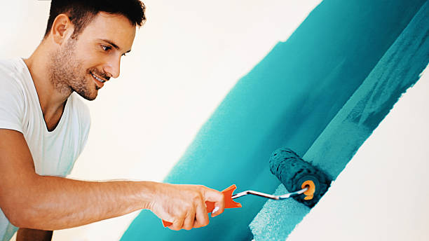 Best Post-Construction Mold Inspection  in Blackfoot, ID