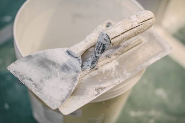 Best Biohazard Mold Removal  in Blackfoot, ID